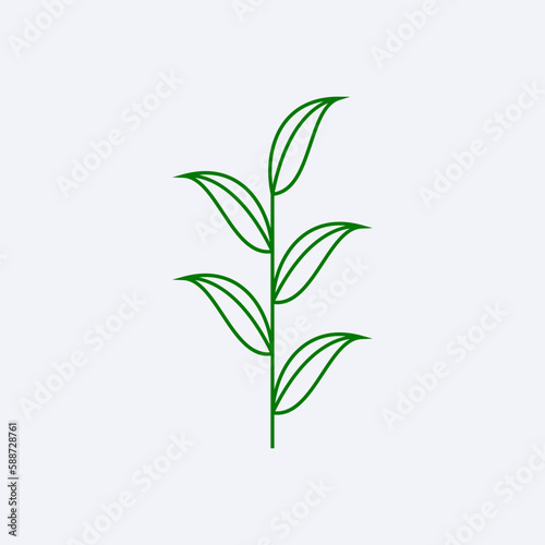 green fresh leaf design vector