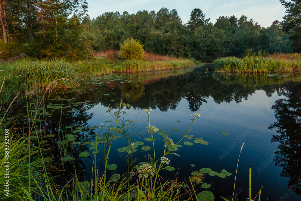 Obraz premium A picturesque reflection of the sky and trees in a forest river. The concept of vacation, summer, fishing, rest on the river bank, calendar, cover. Horizontal photo. 