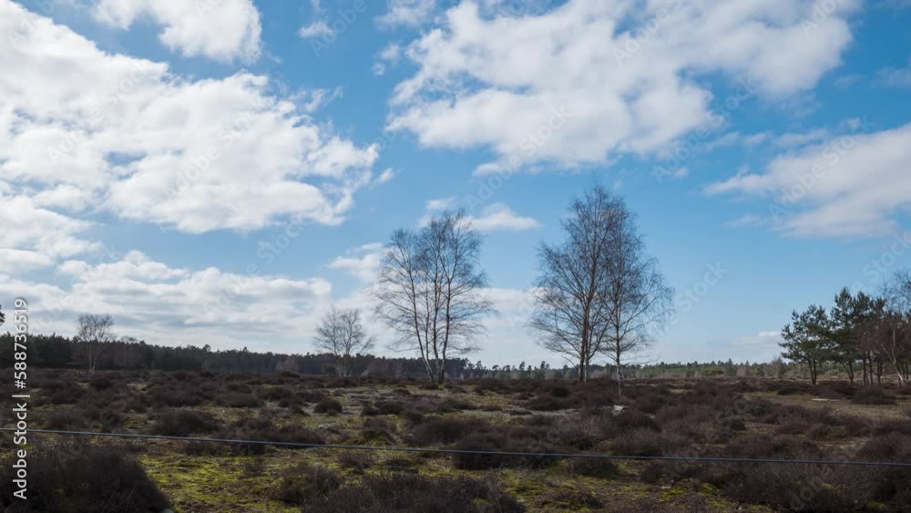 Fall season at Brandon Norfolk forests England timelapse Fall season at Brandon Norfolk forests England timelapse