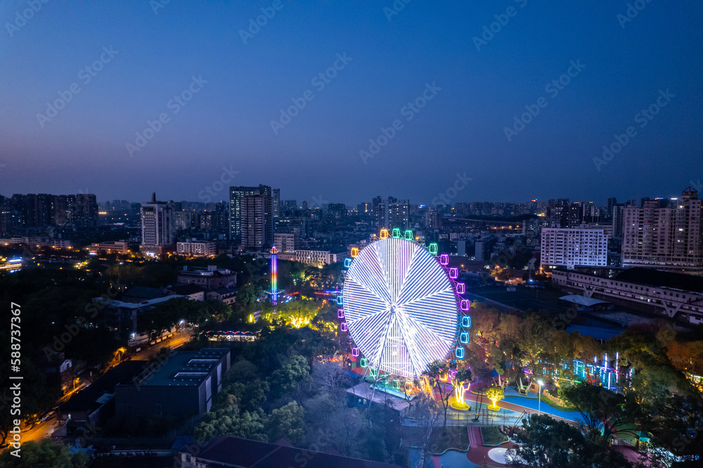 Ferris wheel playground night view