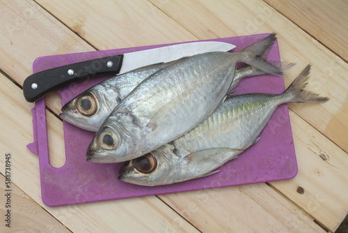 Raw mackerel fish with ingredients for cookingSelective focus. Top view.
 photo