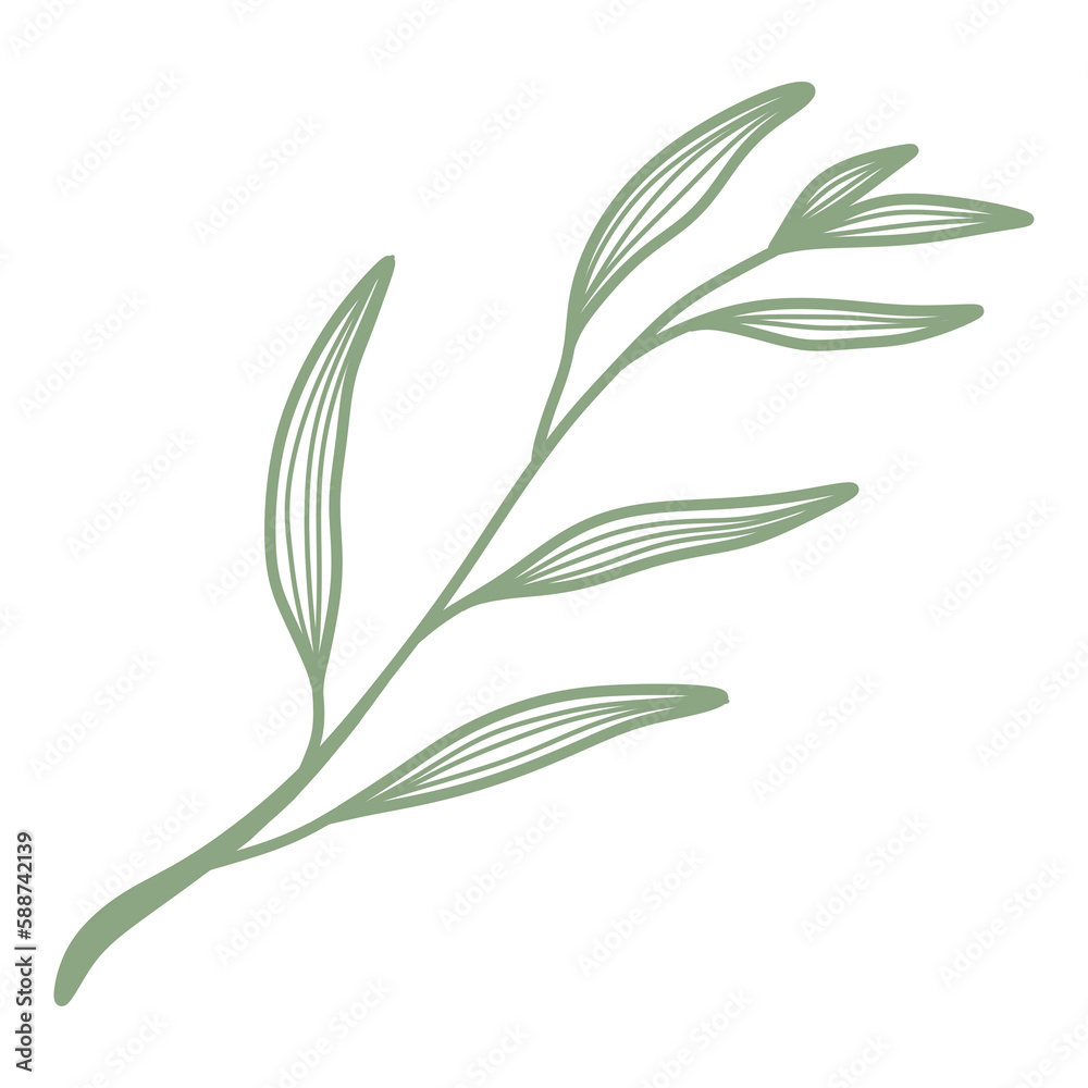 Fototapeta premium Line Art Leaf