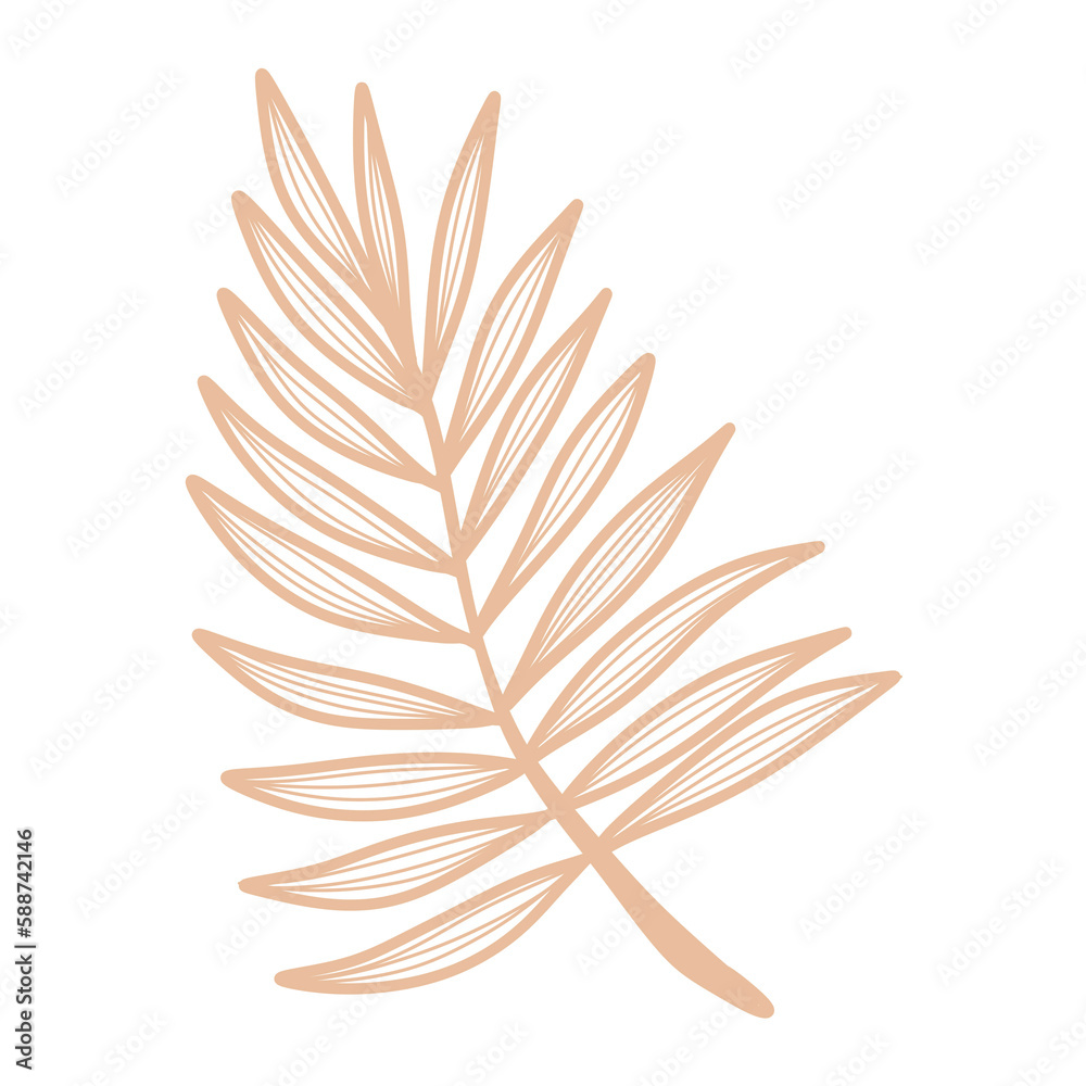 leaf line art isolated