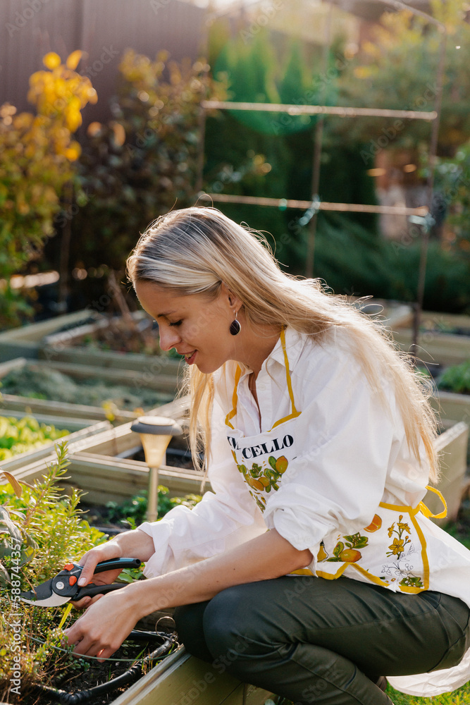 Naklejka premium Happy stylish gardener woman in apron plants greens on the flower bed in home garden. Gardening and floriculture. Flower and green care