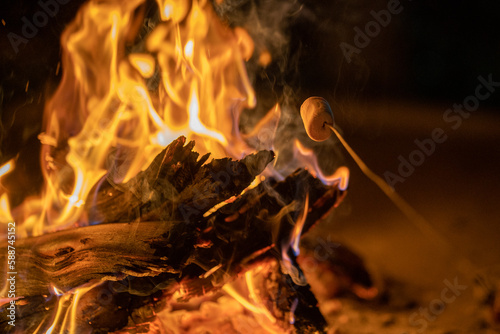 Campfire Delight: Roasting Marshmallows Up Close on a Fire Place