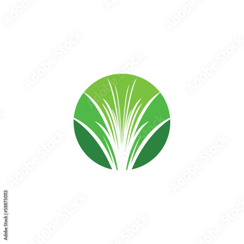 grass vector logo circle icon