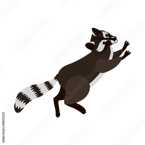 vector drawing raccoon  hand drawn animal isolated at white background   cartoon style character