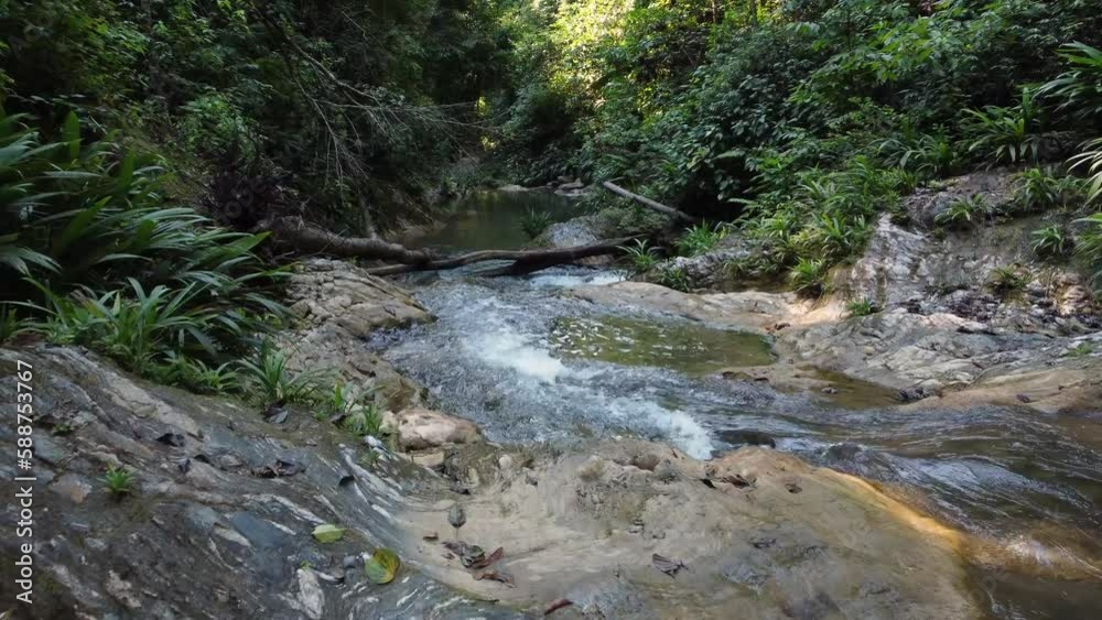 drone flight close to a riverbed in a cloudy forest drone flight close to a riverbed in a cloudy forest
