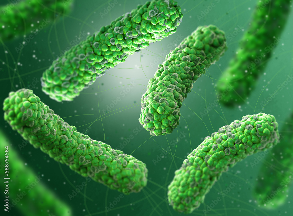 Fototapeta premium Medical background, bacteria facultative anaerobes, Salmonella, enterobacteria, rod-shaped, flagella over the entire surface, causative agent of salmonella infection, pathogen, 3D rendering