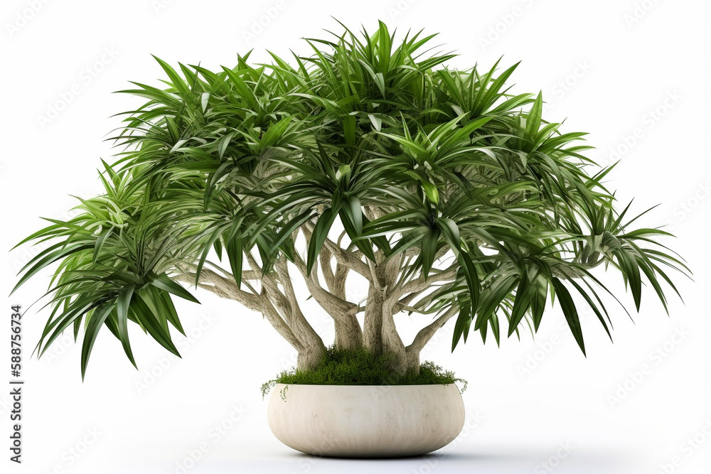 Interior plant isolated on pure white background. Illustration. Generative AI Interior plant isolated on pure white background. Illustration. Generative AI