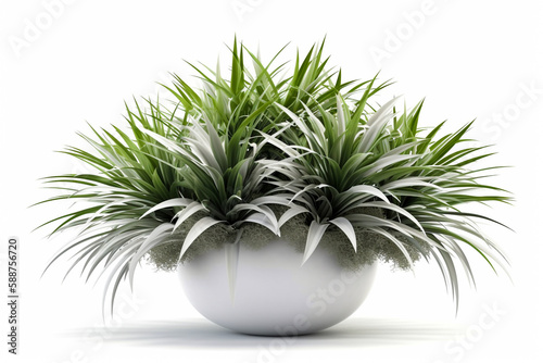 Interior plant isolated on pure white background. Illustration. Generative AI