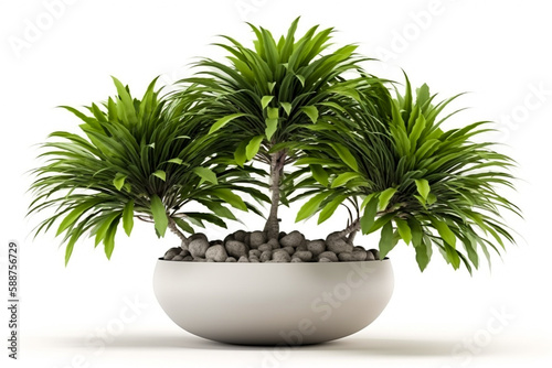 Interior plant isolated on pure white background. Illustration. Generative AI