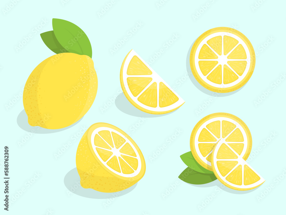 Lemons flat illustration. Collection of stylized flat vector drawings. Best for web, print, advertising, logo creating and branding design.