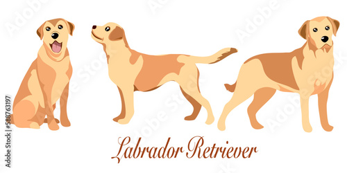 doodle style hand drawn, Golden retriever. Funny labrador baby pet, cute labradors sitting jump run dog sit cartoon adult and puppy retrievers doggy poses puppys running, set icon vector illustration.