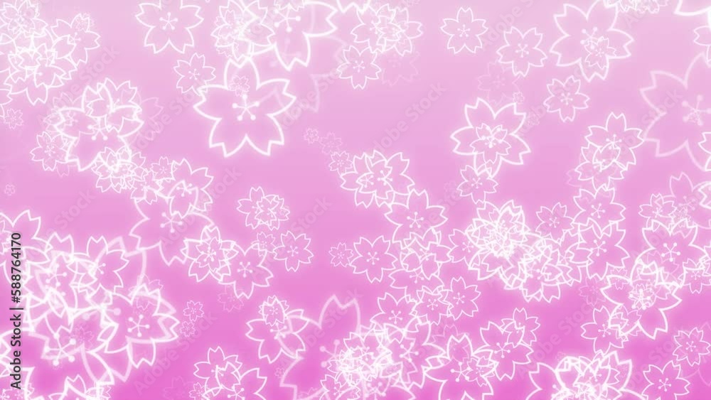 cherry blossom loop background