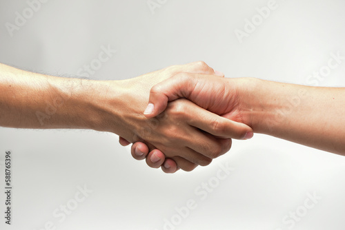 Handshake. Isolated from white background. Agreement concept. Unity.