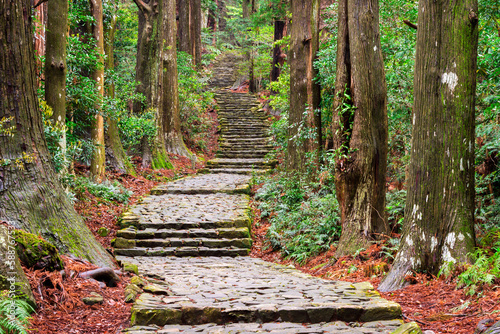 Fotografía Kumano Kodo ancient trail in Nachi, Wakayama, Japan