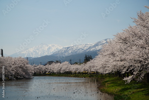 早春の妙高山系 photo