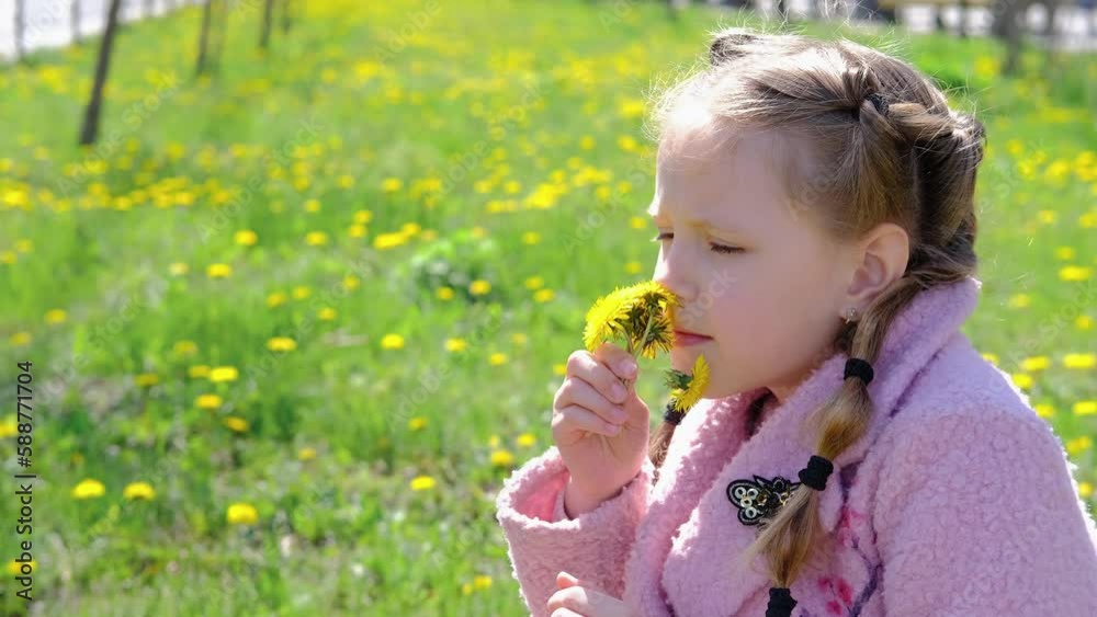 Little child sniffs a flower and enjoys the spring scent of blooming outdoor flowers. Little girl sniffs yellow dandelions. Little child sniffs a flower and enjoys the spring scent of blooming outdoor flowers. Little girl sniffs yellow dandelions.