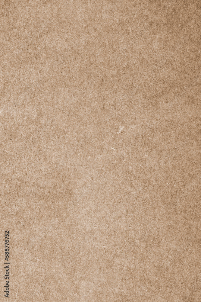 Fototapeta premium Abstract textured background with fine details