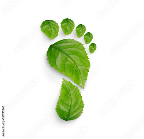 green leaf growing footprints, co2 symbol isolated on White Background. Reduce CO2 emission concept.Clean and friendly environment without carbon dioxide emissions. photo