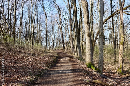 The long dirt hiking trail in the forest on a sunny day.