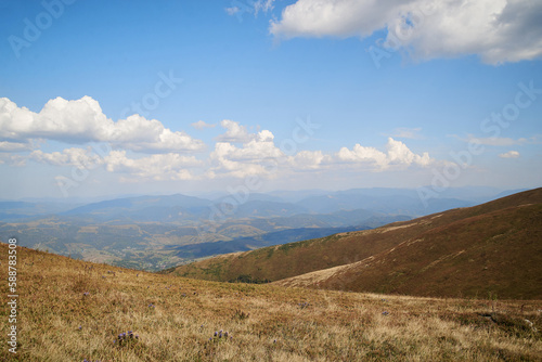 Natural landscape in the mountains in summer. Sunny rural scenery with bright blue sky. Nature protection concept.