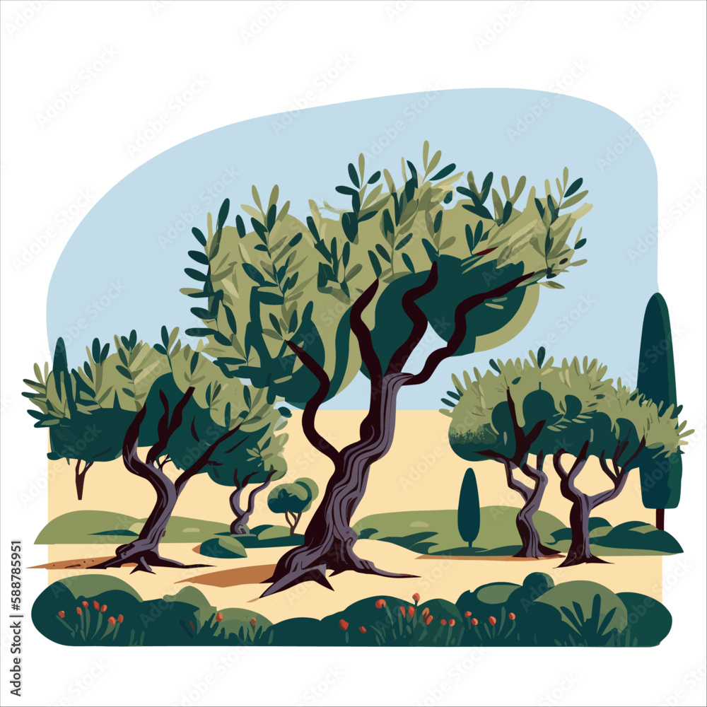 Garden of Olive trees, vector illustration.