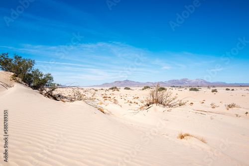 Fototapeta Naklejka Na Ścianę i Meble -  sand dunes in the desert
