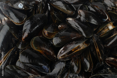 Raw Mussels Texture Background, Fresh Shellfish Seafood Pattern, Black Mussels Mockup, Raw Cold Clams