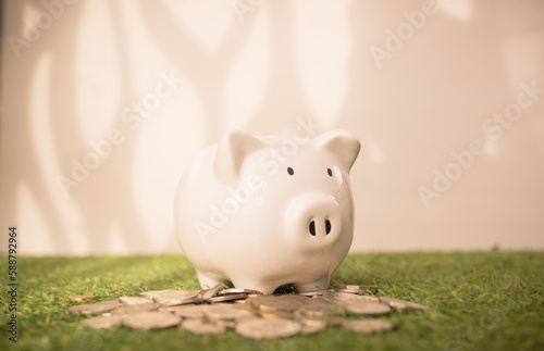saving and investment concept, piggy bank standing on coins with natural light