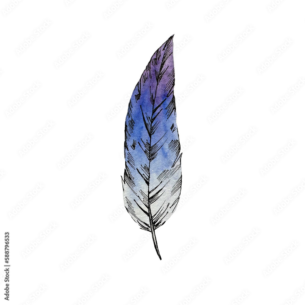 Obraz premium Watercolor painting of blue feather.