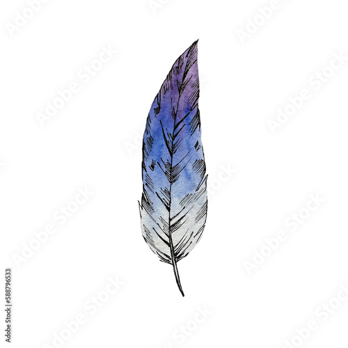 Watercolor painting of blue feather.