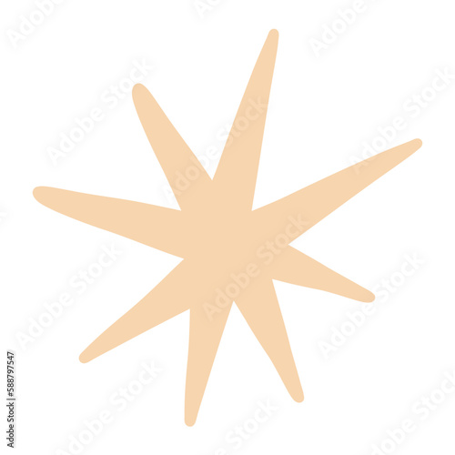 star shaped cookie