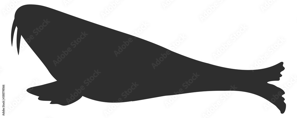 Walrus black silhouette. Wild polar animal icon