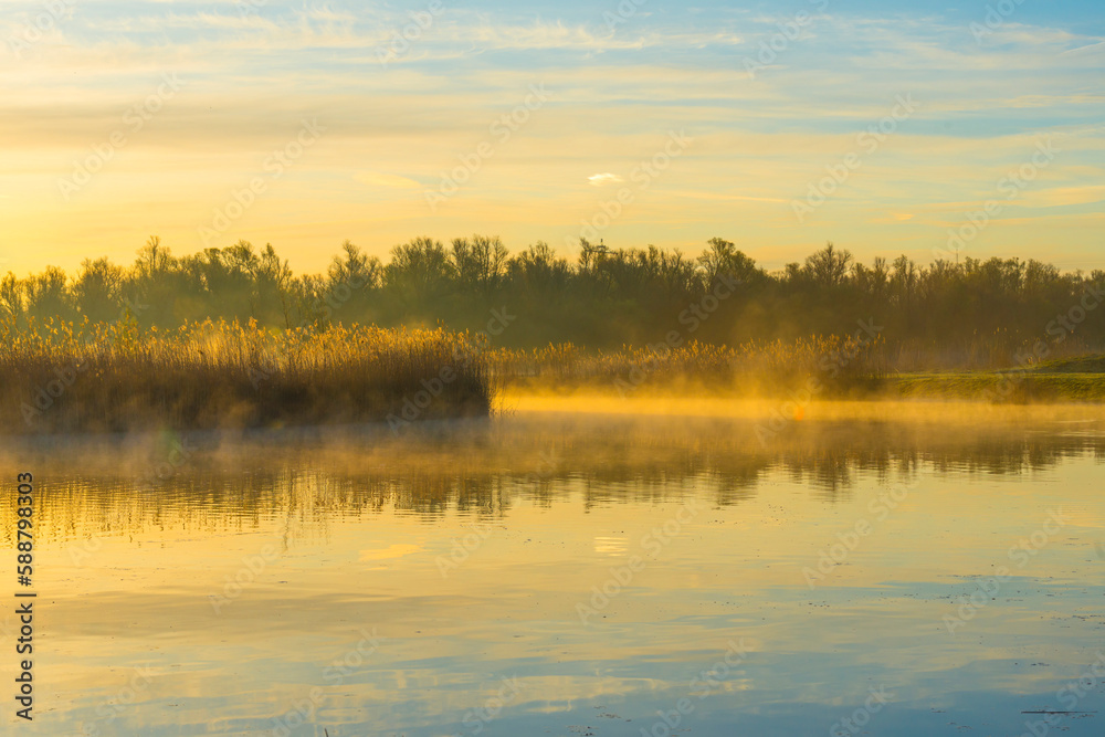 Fototapeta premium Reed along the edge of a foggy lake under a blue sky in sunlight at sunrise in winter, Almere, Flevoland, The Netherlands, April 4, 2023