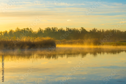 Reed along the edge of a foggy lake under a blue sky in sunlight at sunrise in winter, Almere, Flevoland, The Netherlands, April 4, 2023