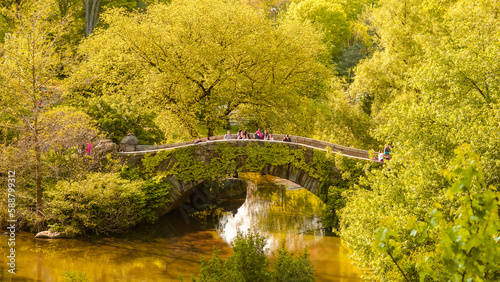 Bridge in Central Park © Collab Media