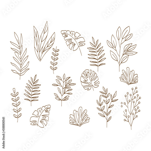 Wallpaper Mural Hand drawn branches and leaves collection suitable for wedding ornaments Torontodigital.ca