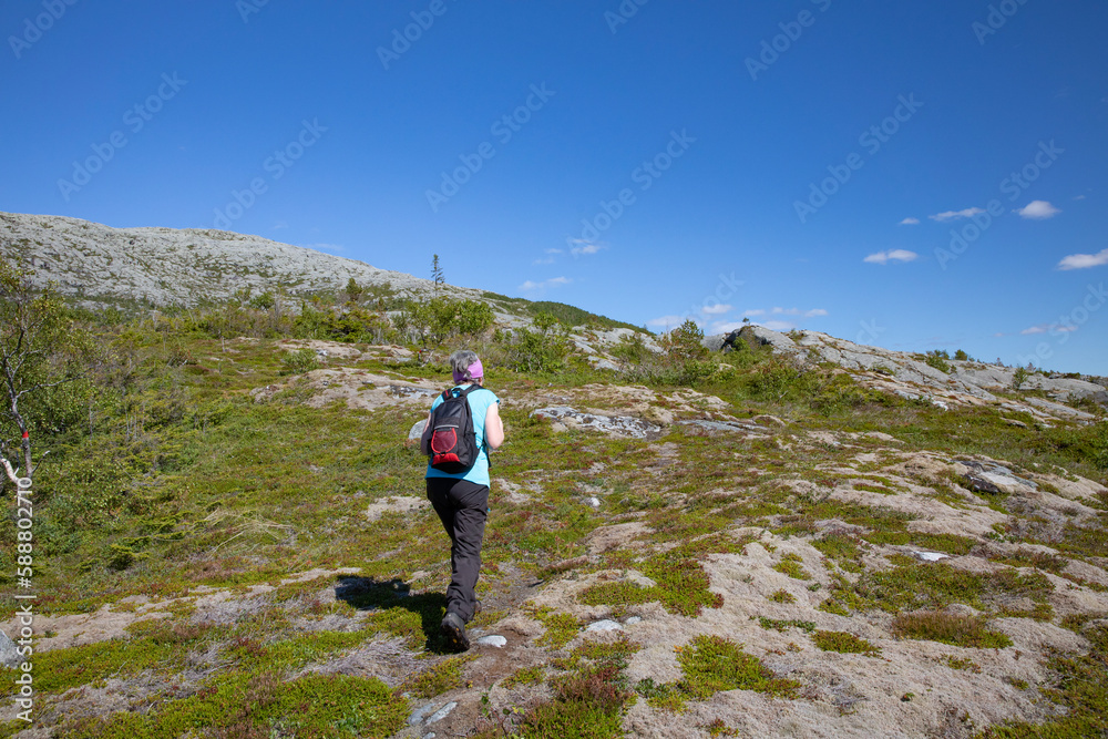 Woman hike to mount Lysingen in Nordland county Northern Norway