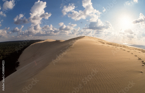 Dune du Pilat, Bassin d'Arcachon, Landes de Gascogne, 33, Gironde, France photo