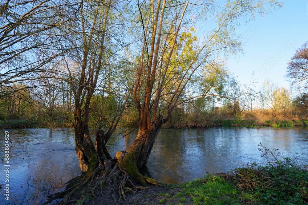 Loing river in the Natural sensitive space of the Sorques plain	