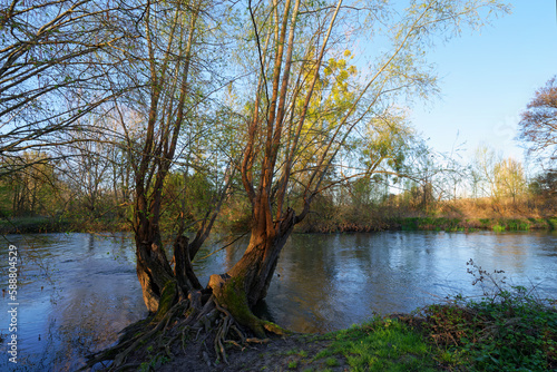 Loing river in the Natural sensitive space of the Sorques plain 