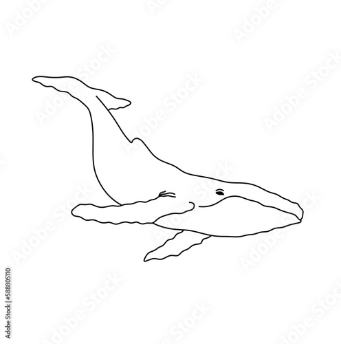 Vector isolated one single big large swimming whale  colorless black and white contour line easy drawing