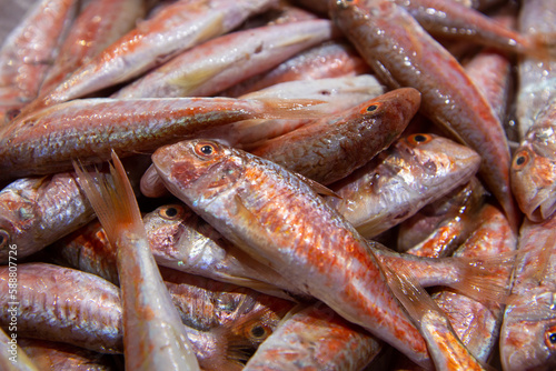 Obraz na płótnie fish market chioggia and sottomarina city in the venetian lagoon near venice fam