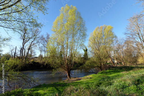 Loing river in the Natural sensitive space of the Sorques plain 