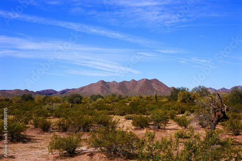 Film Image Sonora Desert Arizona