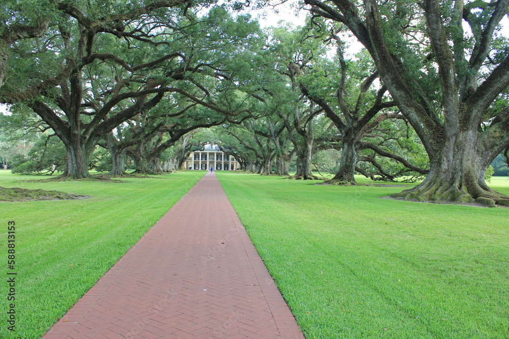 New Orleans plantation and trees