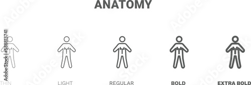 anatomy icon. Thin  regular  bold and more style anatomy icon from Fitness and Gym collection. Editable anatomy symbol can be used web and mobile