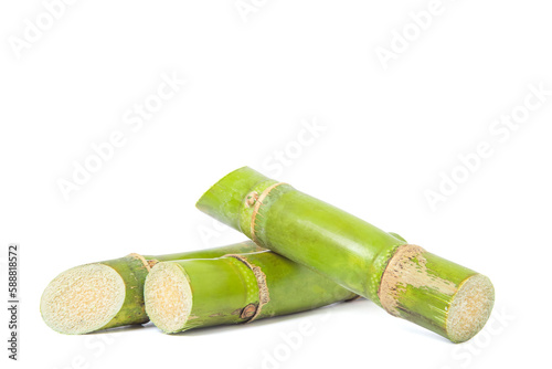 Fresh sugarcane cut into pieces. isolated on white background.